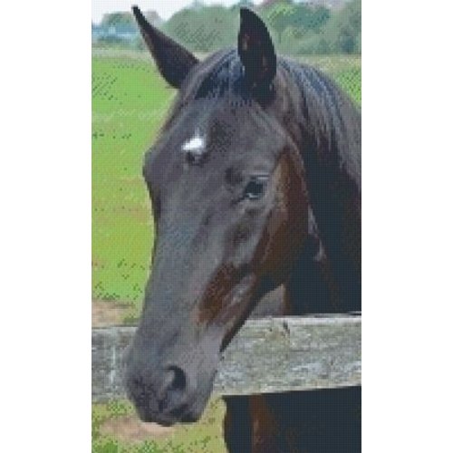 PixelHobby Pixelhobby patroon 5376 Paardenhoofd