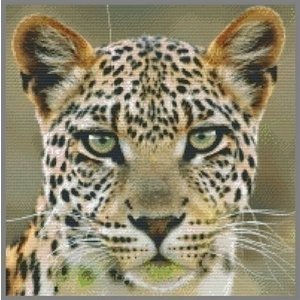 PixelHobby Pixelhobby patroon 820075 Panter PixelHobby Pixelhobby patroon 820075 Panter