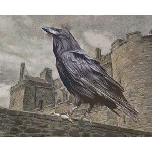 PixelHobby Pixelhobby patroon 5504 Black Crow PixelHobby Pixelhobby patroon 5504 Black Crow