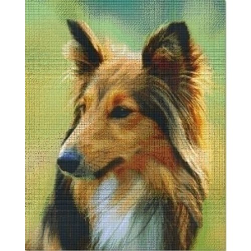 PixelHobby Pixelhobby patroon 836035 Shetland dog