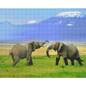 PixelHobby Pixelhobby patroon 836018 Twee olifanten PixelHobby Pixelhobby patroon 836018 Twee olifanten