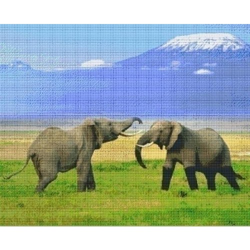 PixelHobby Pixelhobby patroon 836018 Twee olifanten