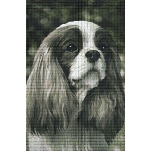 PixelHobby Pixelhobby patroon 830037 Hond Flapoor z/w