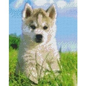 PixelHobby Pixelhobby patroon 804270 Husky pup PixelHobby Pixelhobby patroon 804270 Husky pup