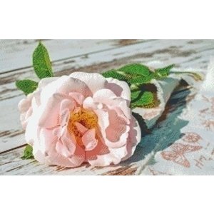 PixelHobby Pixelhobby patroon 5545 Pink Rose