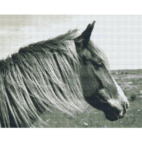 PixelHobby Pixelhobby patroon 836039 Paard zwart wit