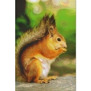 PixelHobby Pixelhobby Patroon 830041 Eekhoorn PixelHobby Pixelhobby Patroon 830041 Eekhoorn