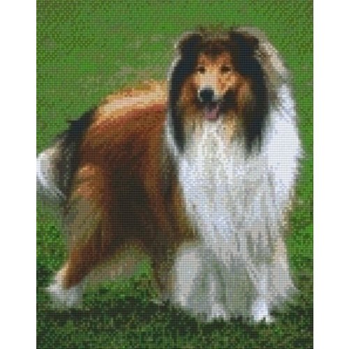 PixelHobby Pixelhobby patroon 809275 Schotse Collie