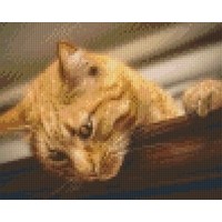 Pixelhobby patroon 5571 Rode Kat