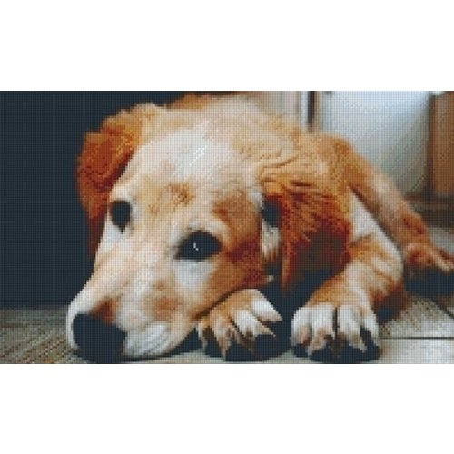 PixelHobby Pixelhobby patroon 5295 Golden Retriever PixelHobby Pixelhobby patroon 5295 Golden Retriever