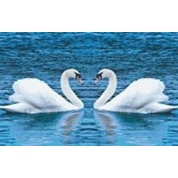 Pixelhobby patroon 5520 Twee Zwanen