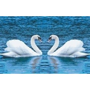 PixelHobby Pixelhobby patroon 5520 Twee Zwanen