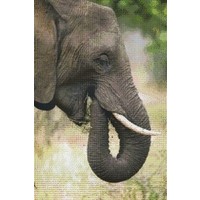 Pixelhobby Patroon 830043 Olifant