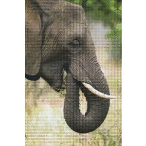 PixelHobby Pixelhobby Patroon 830043 Olifant PixelHobby Pixelhobby Patroon 830043 Olifant