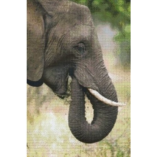 PixelHobby Pixelhobby Patroon 830043 Olifant