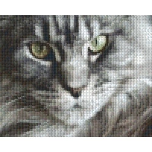 PixelHobby Pixelhobby patroon 5567 Main Coon