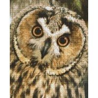 Pixelhobby patroon 809376 Uil