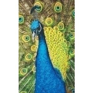 PixelHobby Pixelhobby patroon 5283 Pauw PixelHobby Pixelhobby patroon 5283 Pauw