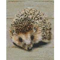 Pixelhobby patroon 809380 Egel