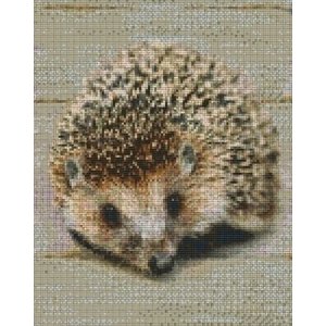 PixelHobby Pixelhobby patroon 809380 Egel PixelHobby Pixelhobby patroon 809380 Egel