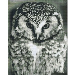 PixelHobby Pixelhobby patroon 836027 Uil zwart wit