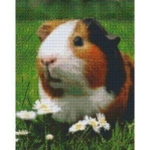 PixelHobby Pixelhobby patroon 809421 Cavia