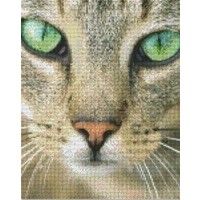 Pixelhobby patroon 809430 Kat close up