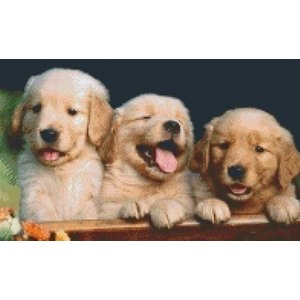 PixelHobby Pixelhobby patroon 5217 3 pups