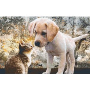 PixelHobby Pixelhobby patroon 5474 Puppy met Kitten PixelHobby Pixelhobby patroon 5474 Puppy met Kitten