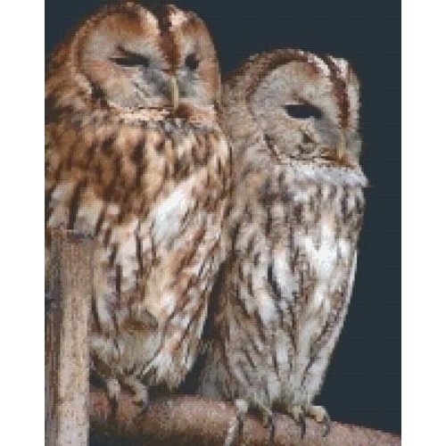 PixelHobby Pixelhobby patroon 5493 Twee Uilen PixelHobby Pixelhobby patroon 5493 Twee Uilen
