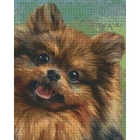 Pixelhobby patroon 809428 Chiuaua