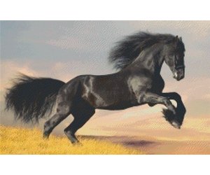 Pixelhobby patroon 820024 Paard Kopen? Art en Hobby