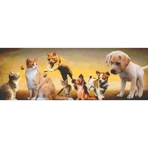 PixelHobby Pixelhobby patroon 5506 Cute Pets