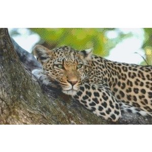 PixelHobby Pixelhobby patroon 5459 Wild Animal PixelHobby Pixelhobby patroon 5459 Wild Animal