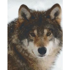 PixelHobby Pixelhobby patroon 5448 Wolf