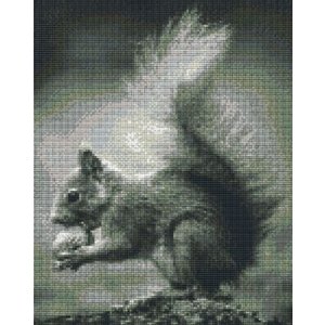 PixelHobby Pixelhobby patroon 809437 Eekhoorn PixelHobby Pixelhobby patroon 809437 Eekhoorn