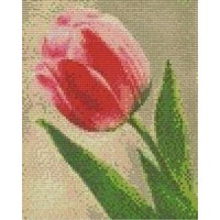 Pixelhobby patroon 804073 Tulp