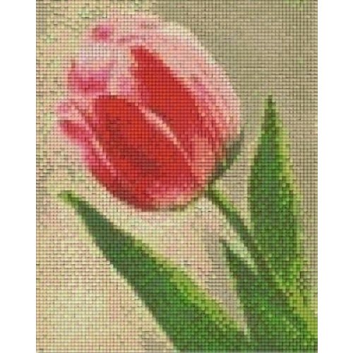 PixelHobby Pixelhobby patroon 804073 Tulp