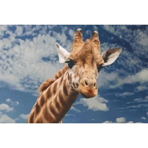 PixelHobby Pixelhobby patroon 5379 Giraf PixelHobby Pixelhobby patroon 5379 Giraf