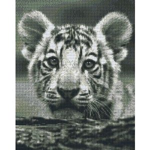 PixelHobby Pixelhobby Patroon 809438 Baby Tijger