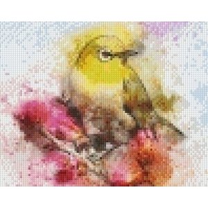 PixelHobby Pixelhobby patroon 5537 Colorful bird