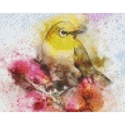 PixelHobby Pixelhobby patroon 5537 Colorful bird