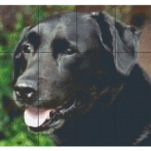 PixelHobby Pixelhobby patroon Labrador 5024 PixelHobby Pixelhobby patroon Labrador 5024