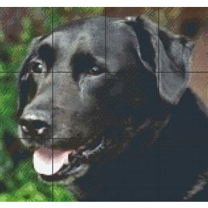 PixelHobby Pixelhobby patroon Labrador 5024