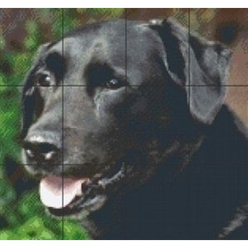 PixelHobby Pixelhobby patroon Labrador 5024