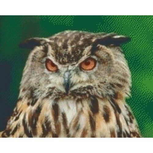 PixelHobby Pixelhobby patroon 5401 Uil PixelHobby Pixelhobby patroon 5401 Uil