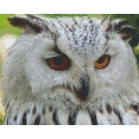 Pixelhobby patroon 5494 Sneeuwuil