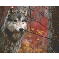 Pixelhobby patroon 5384 Wolf