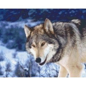 PixelHobby Pixelhobby patroon 5382 Wolf