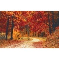 Pixelhobby patroon 5308 Herfst